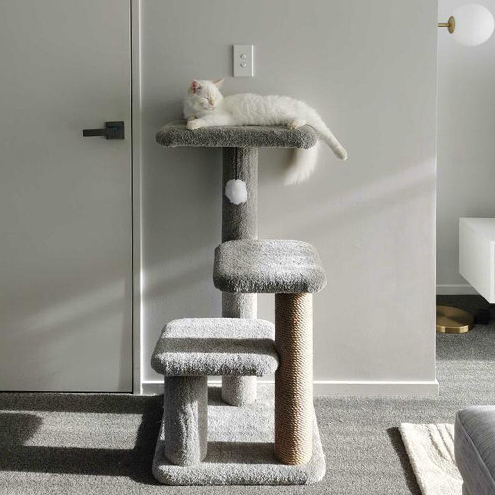 Why Cats Need Scratching Posts - ComfyPet Products