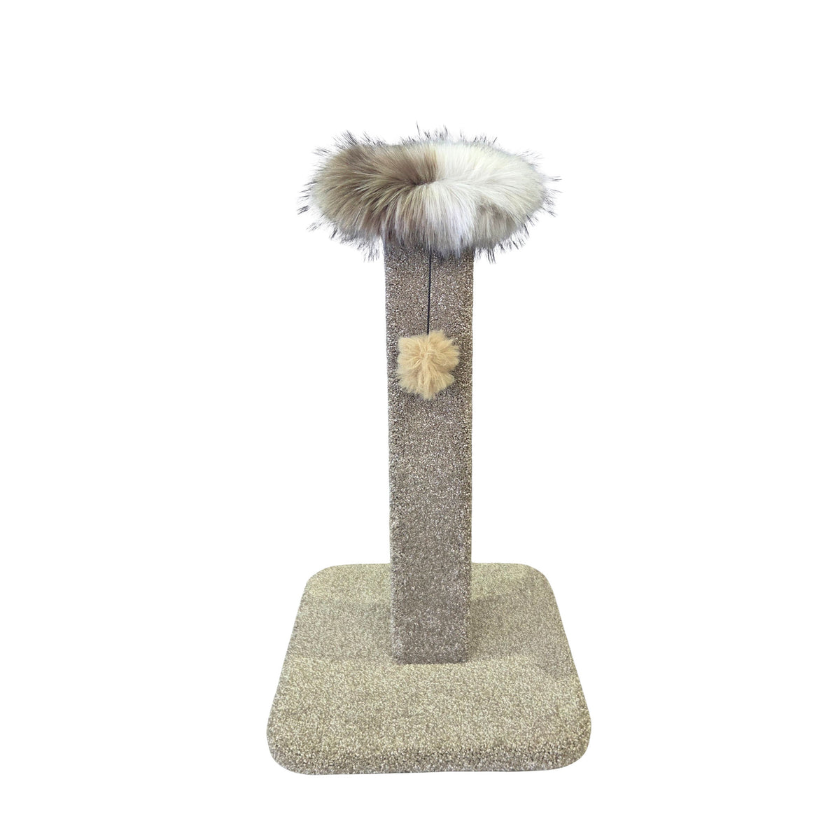 KatAttack Arizona Post with Perch