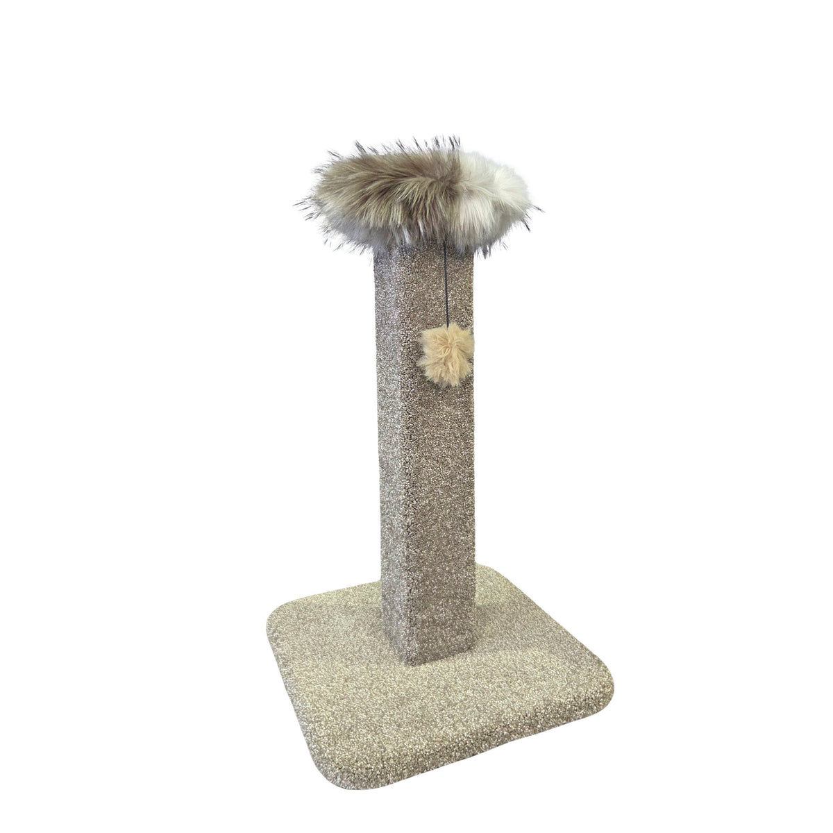 KatAttack Arizona Post with Perch