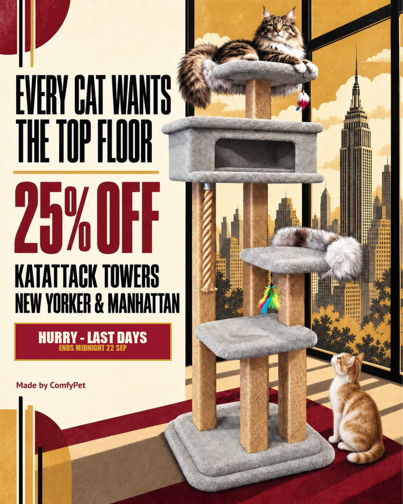KatAttack Top Floor Sale: 25% off New Yorker and Manhattan, ends midnight 22 September