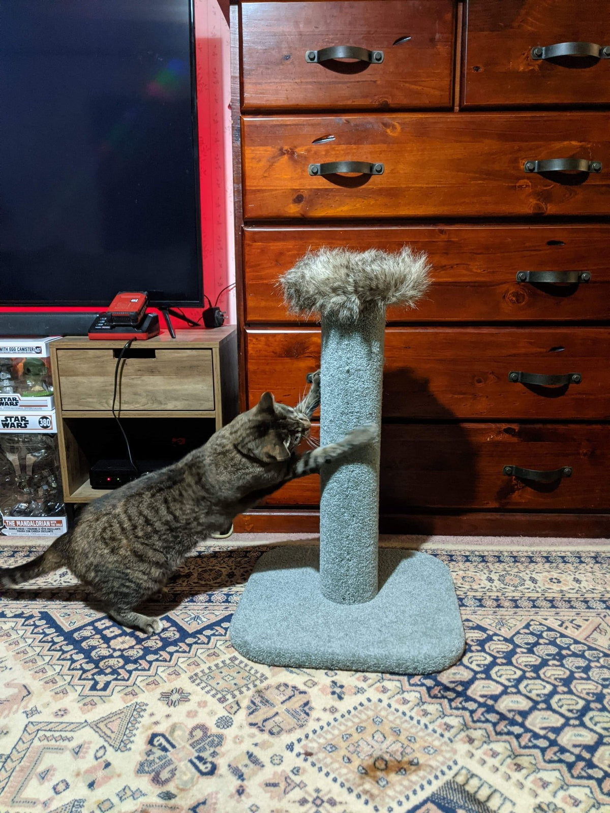 KatAttack Arizona Post with Perch - ComfyPet Products