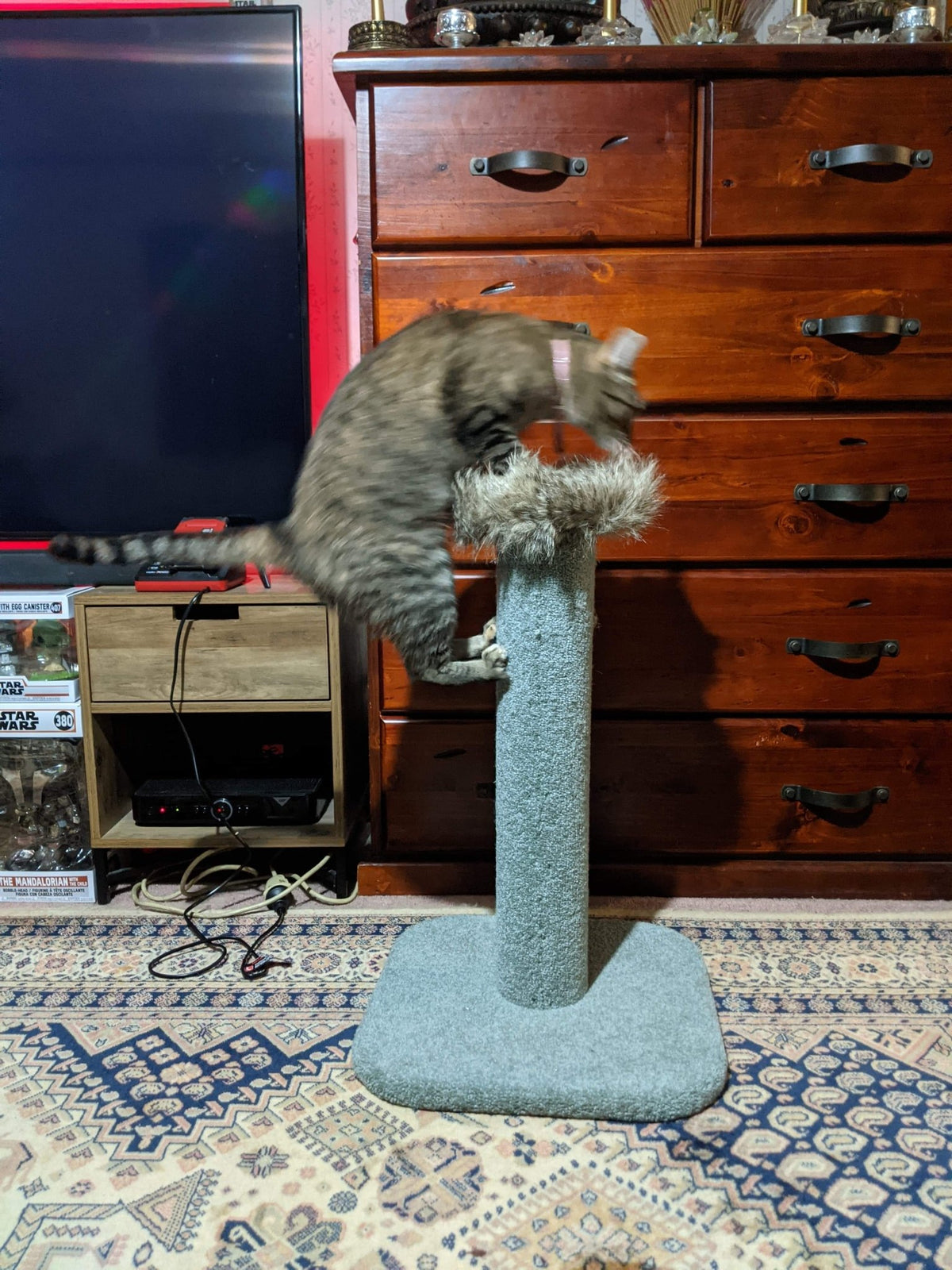 KatAttack Arizona Post with Perch - ComfyPet Products
