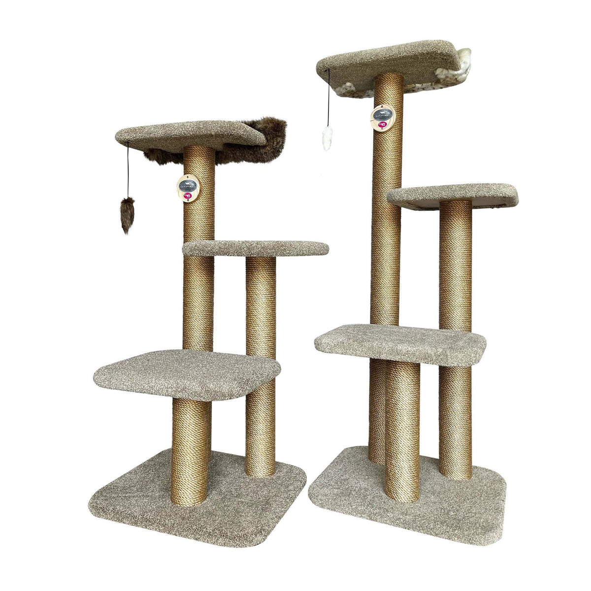 KatAttack Chicago - ComfyPet Products