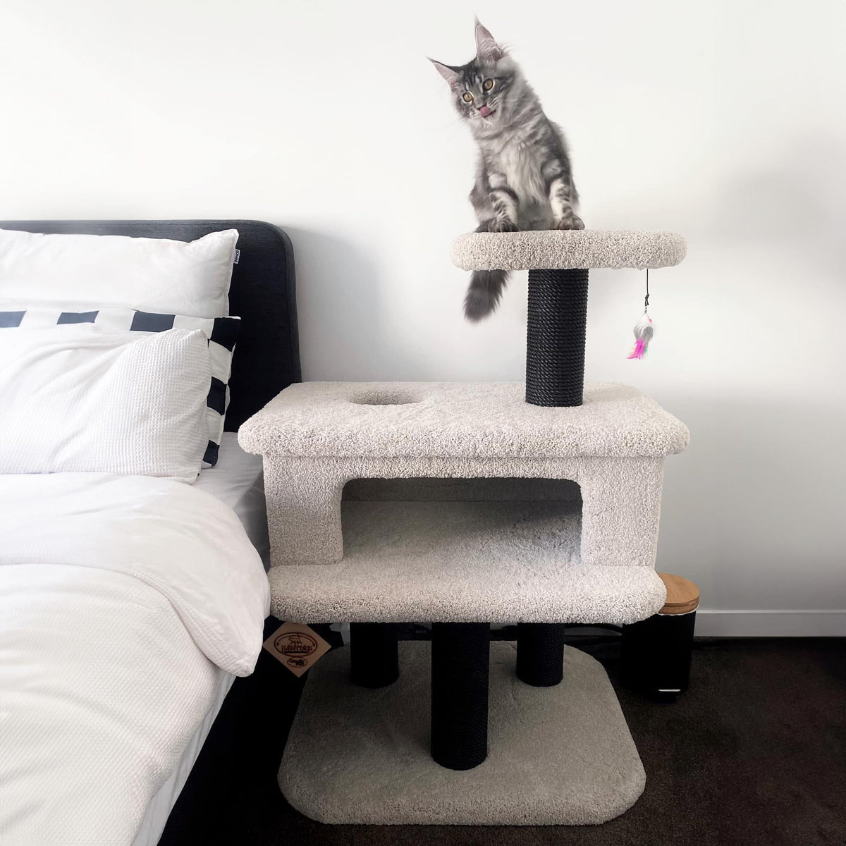 KatAttack New Jersey - ComfyPet Products