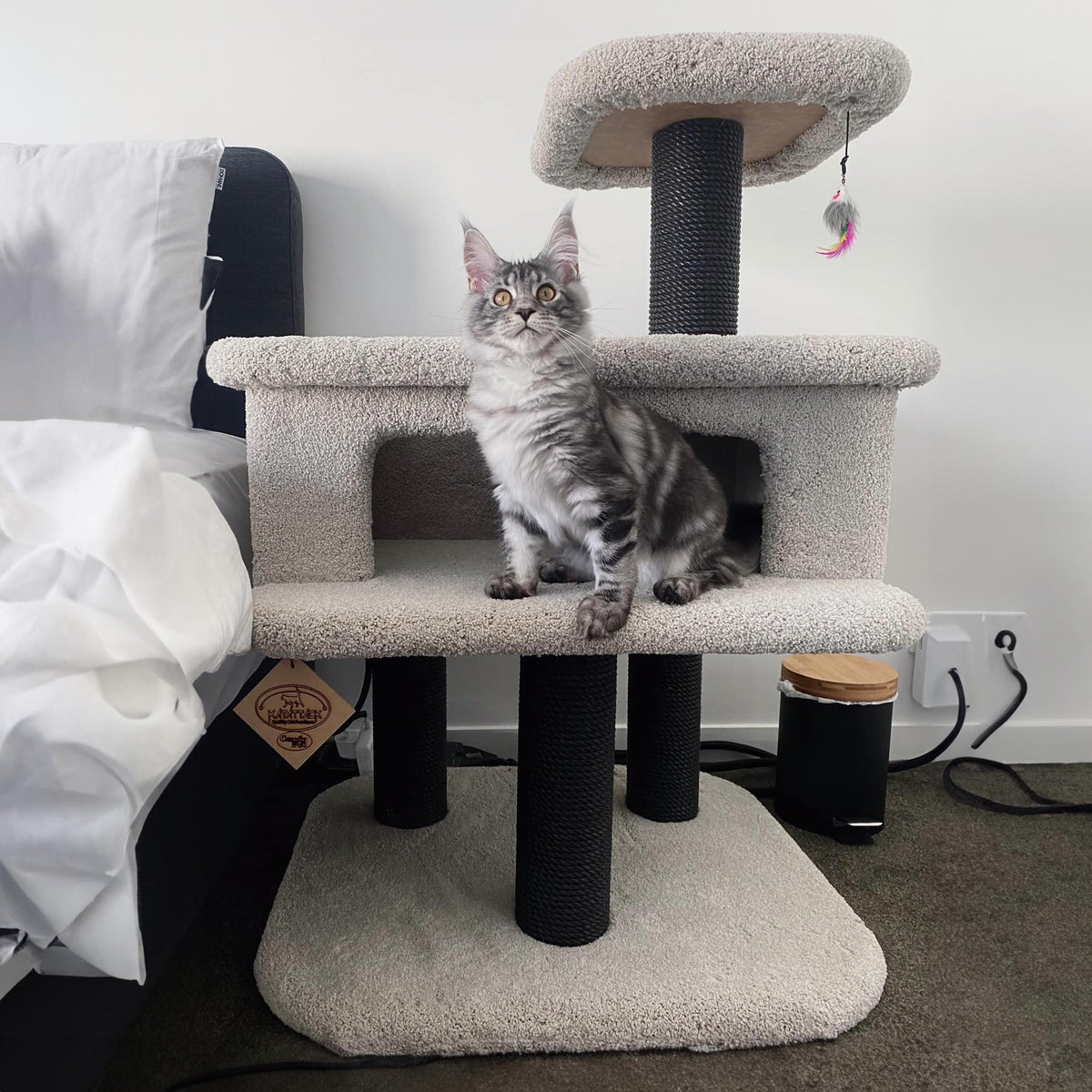 KatAttack New Jersey - ComfyPet Products