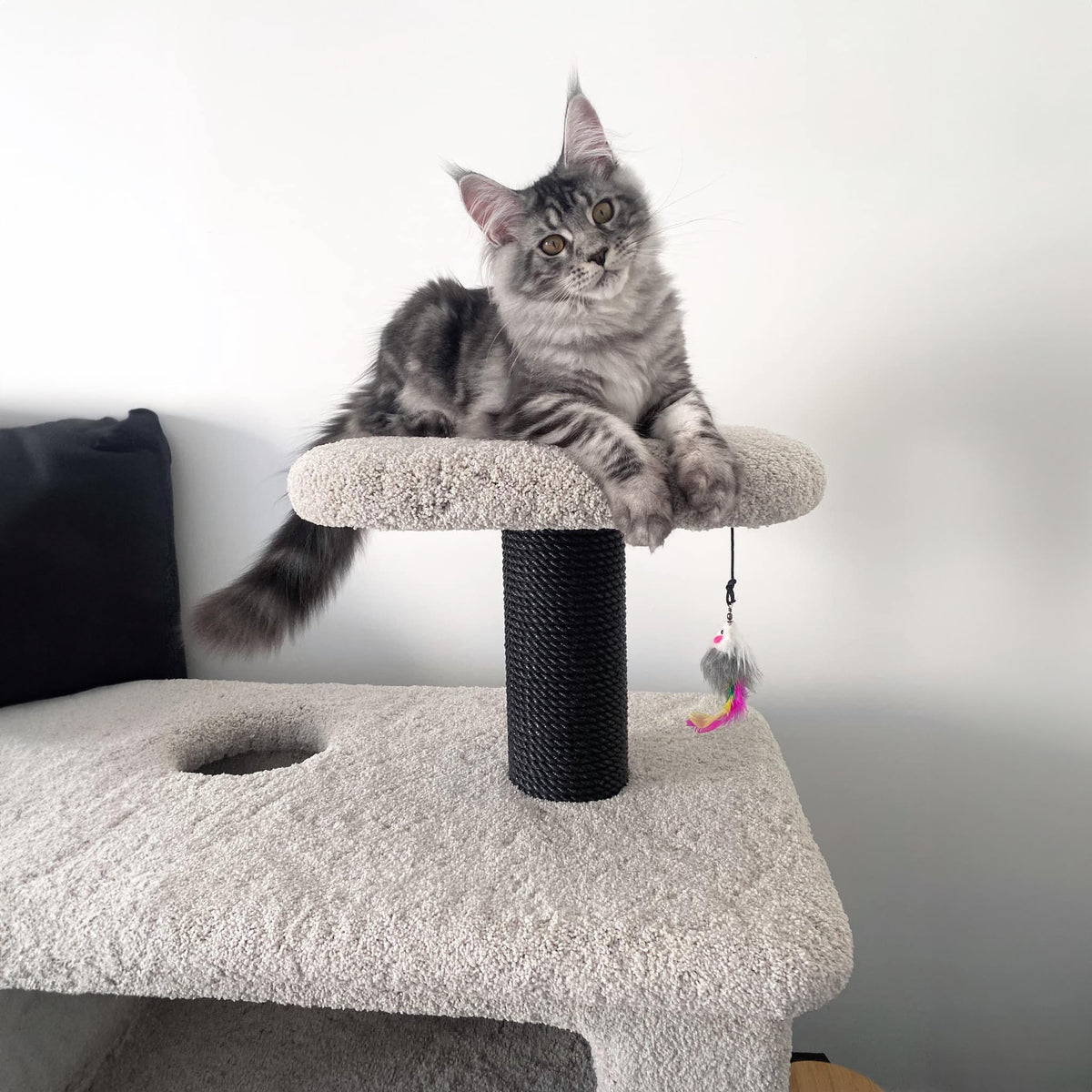 KatAttack New Jersey - ComfyPet Products