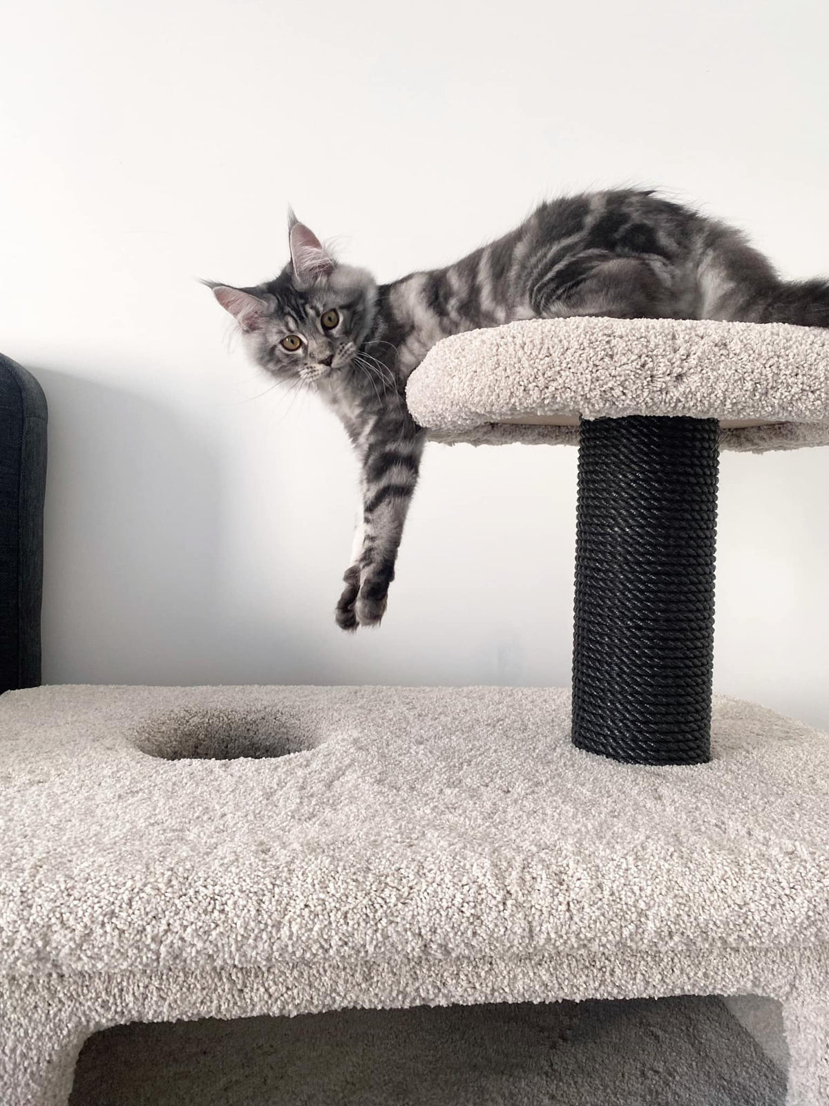 KatAttack New Jersey - ComfyPet Products