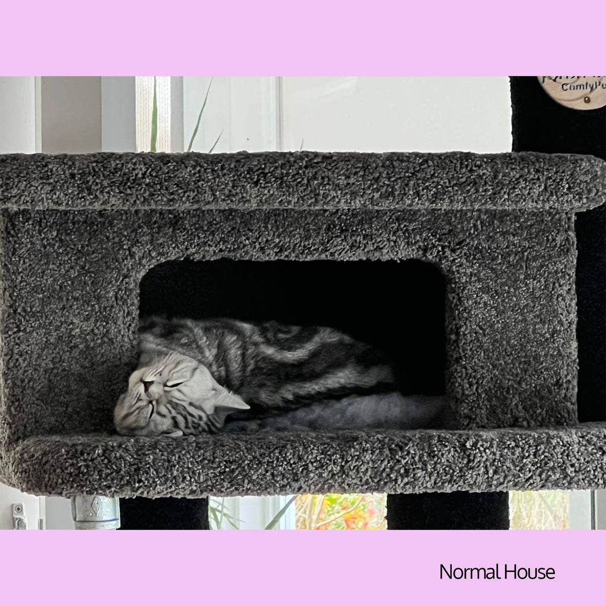 KatAttack New Yorker - ComfyPet Products