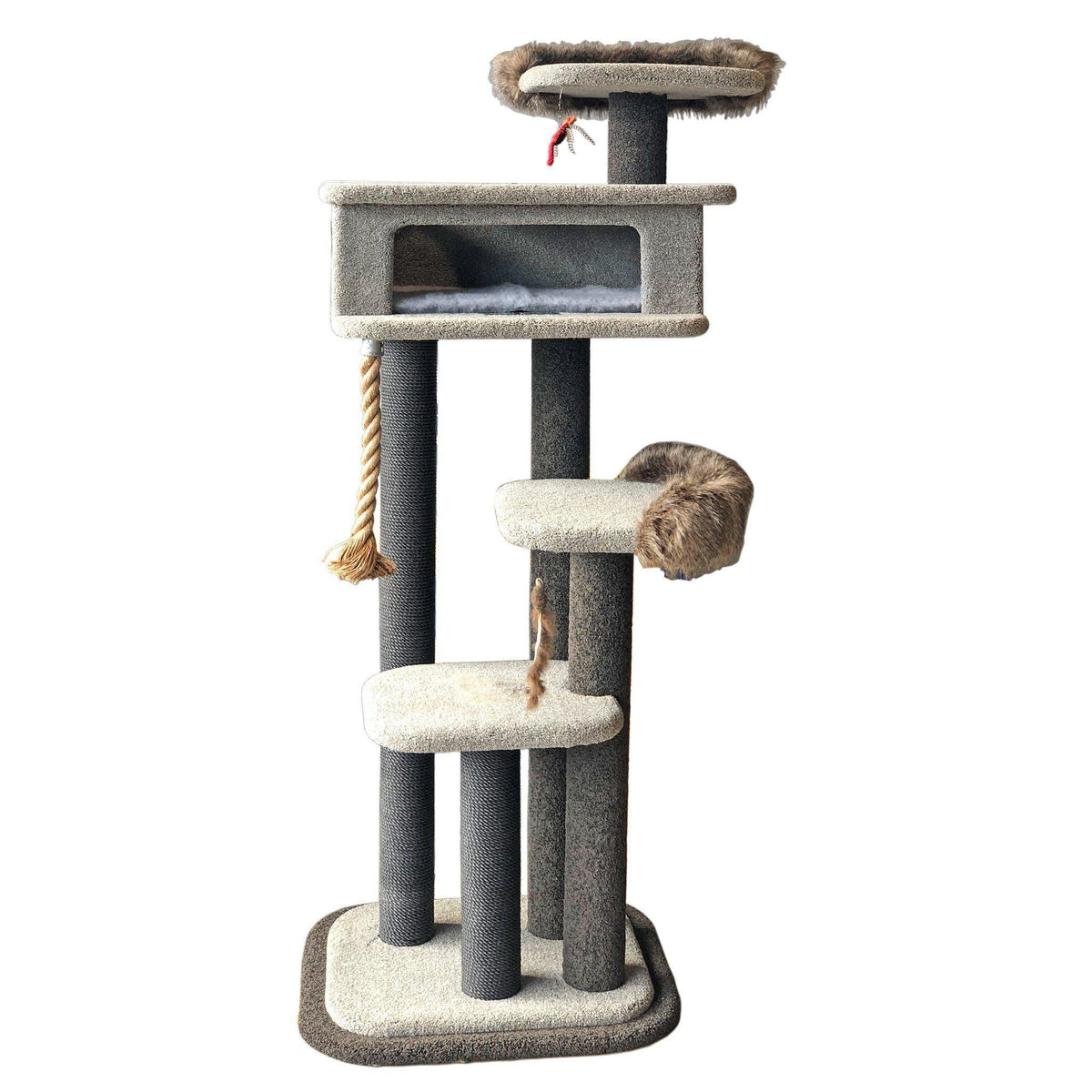 KatAttack New Yorker - ComfyPet Products