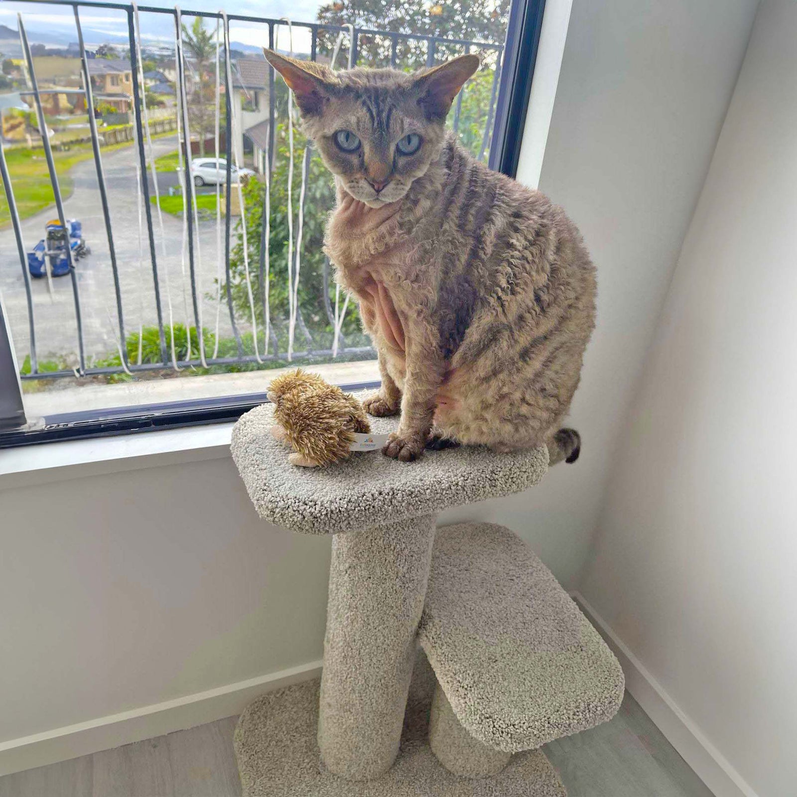 KatAttack Steps V2 - For the window ledge - ComfyPet Products