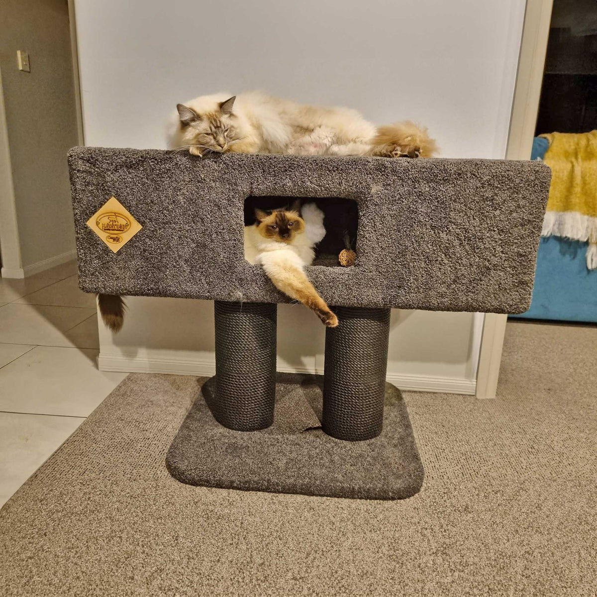 KatAttack Tunnel - ComfyPet Products