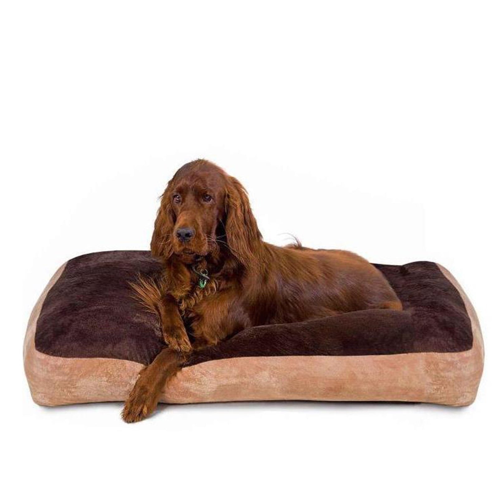 NZ Made Futons Fur Fluff Filling - Medium - ComfyPet Products