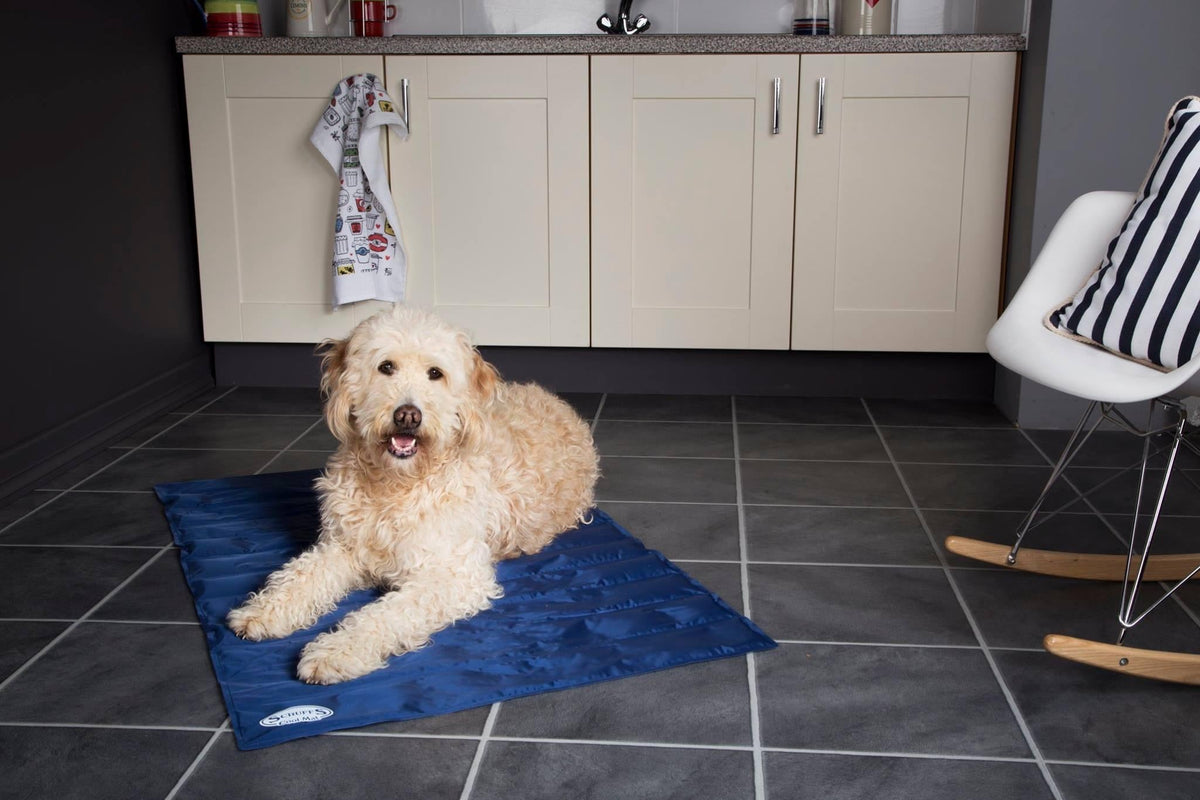 Scruffs Cooling Mat - ComfyPet Products