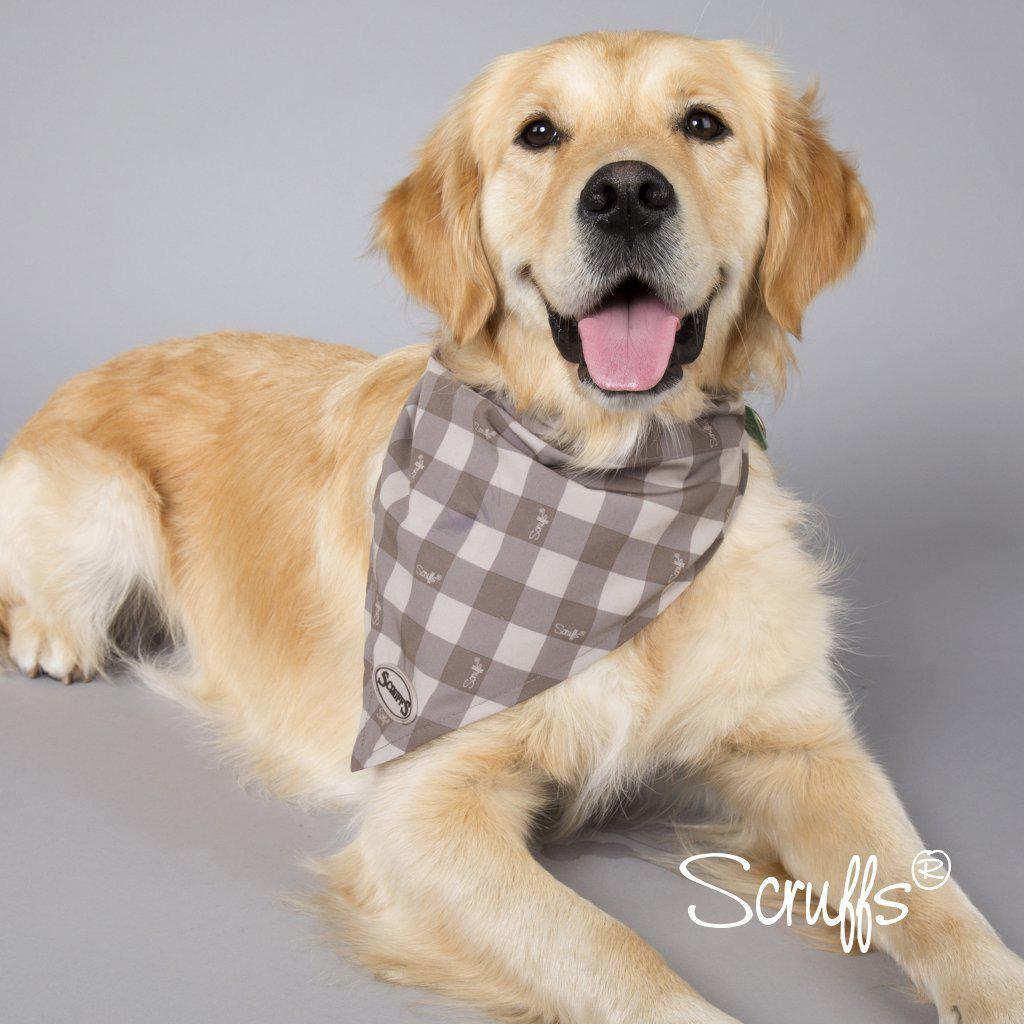 Scruffs Insect Shield® Bandana&#39;s - ComfyPet Products
