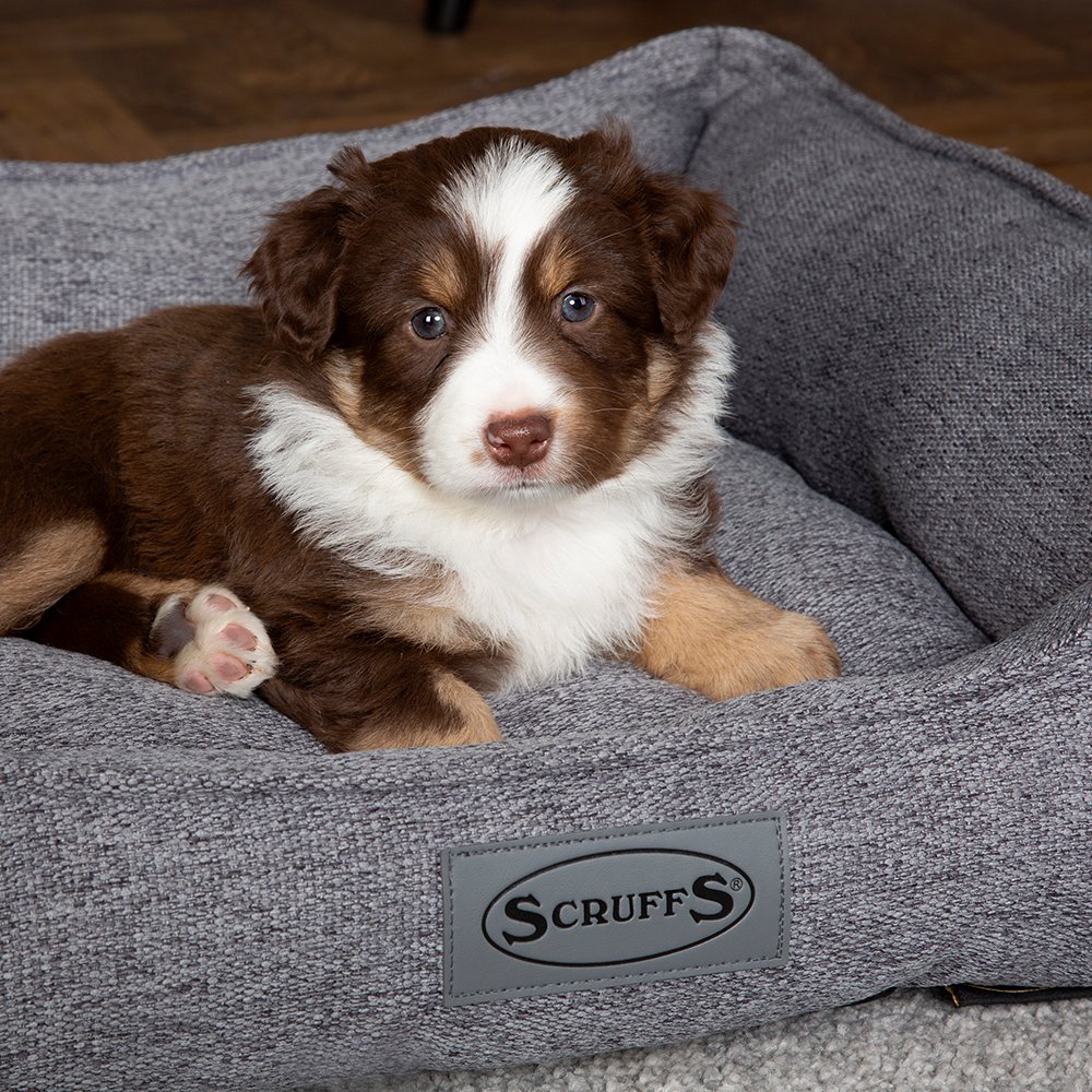 Scruffs Manhattan Box Bed - ComfyPet Products