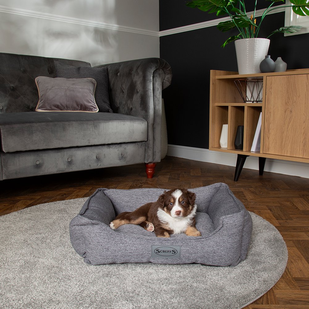 Scruffs Manhattan Box Bed - ComfyPet Products