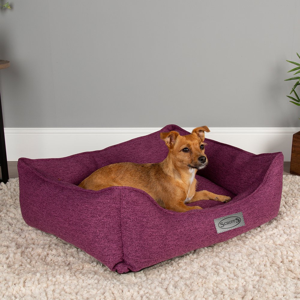 Scruffs Manhattan Box Bed - ComfyPet Products
