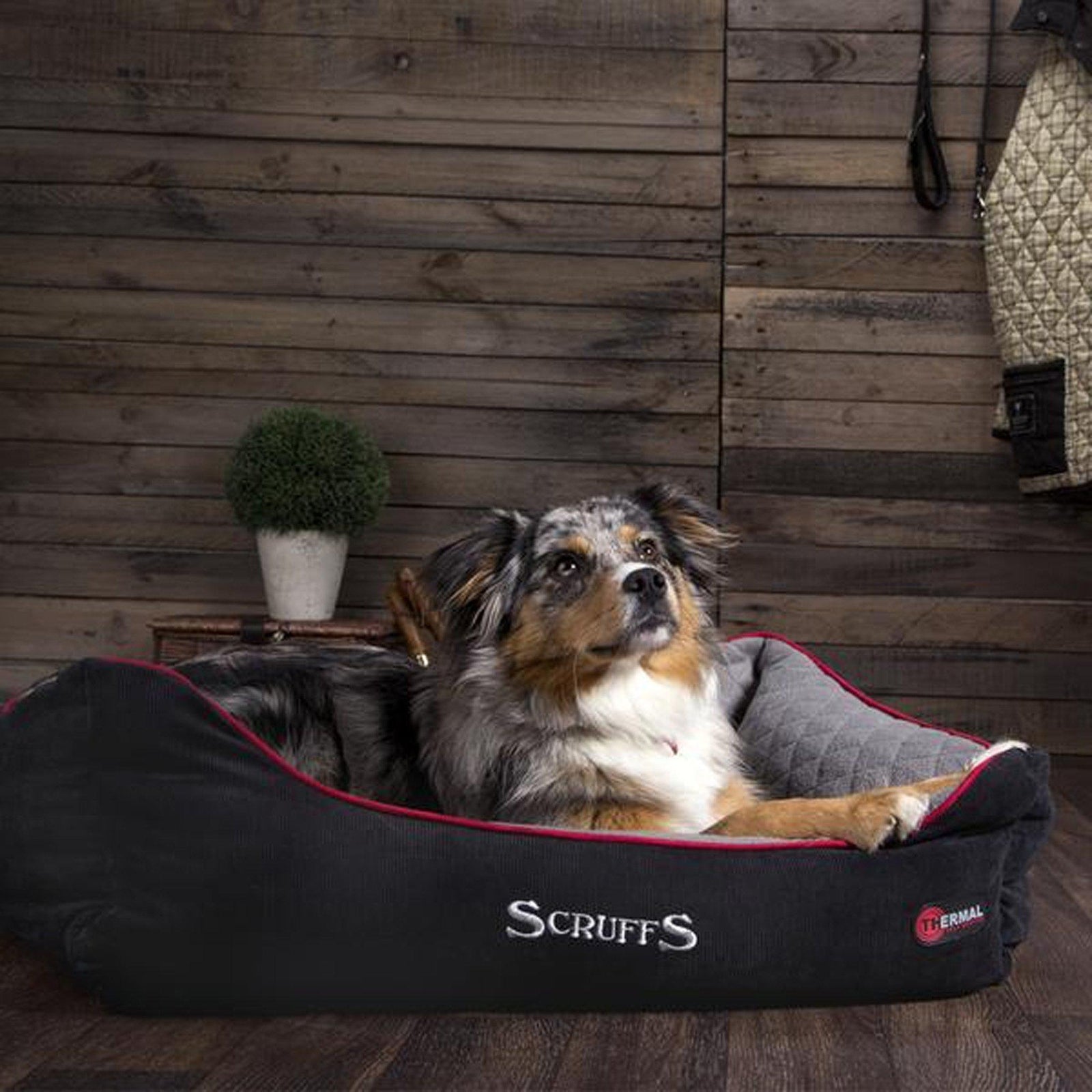 Scruffs Thermal Box Bed - ComfyPet Products