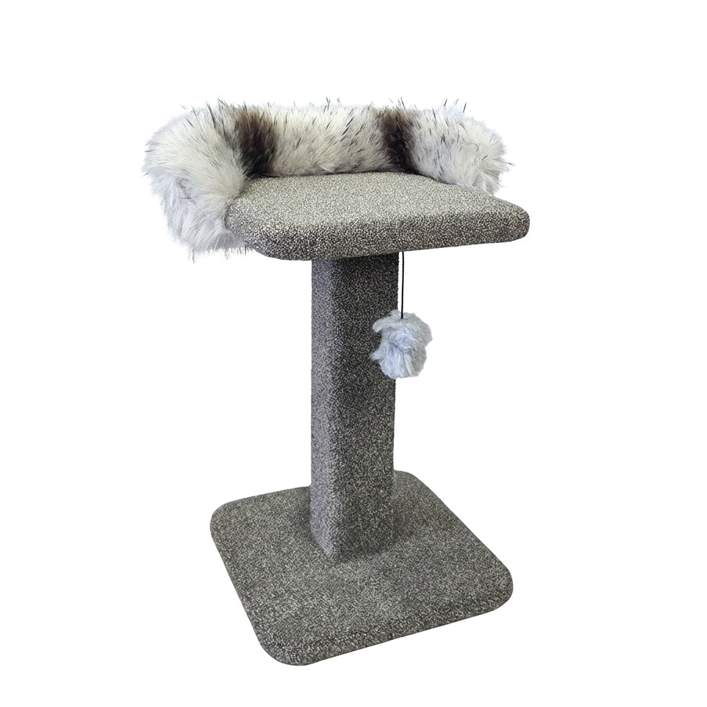 KatAttack Tango Post with Top Level - Big 60cm Ht with Surround / Just Carpet